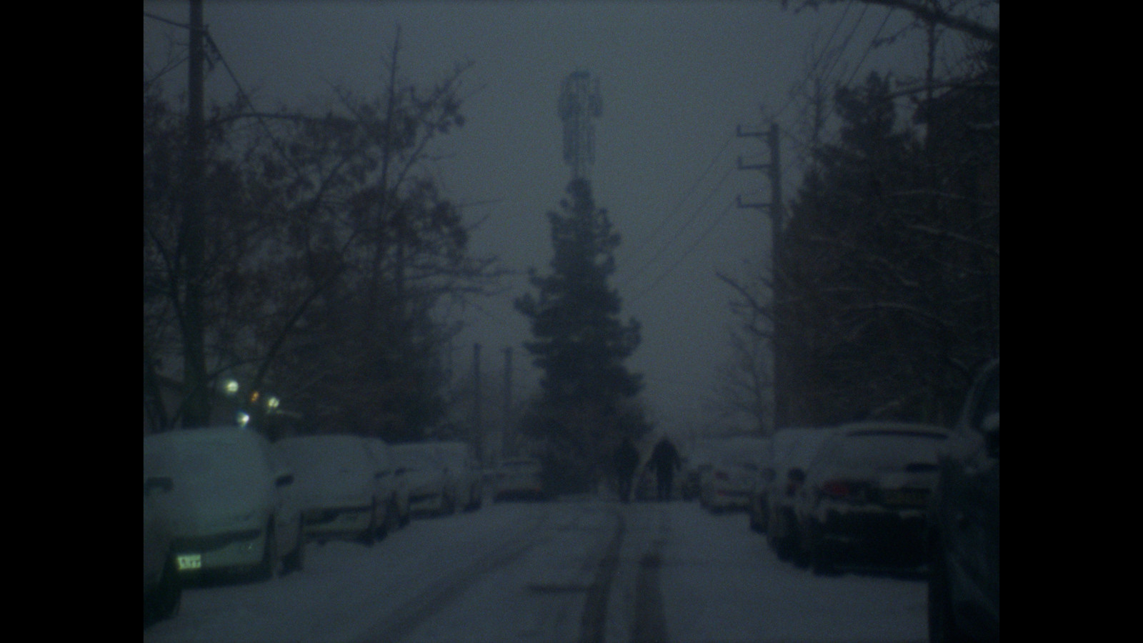 A snowy street with tall trees and cars parked on the side of the street covered in snow.